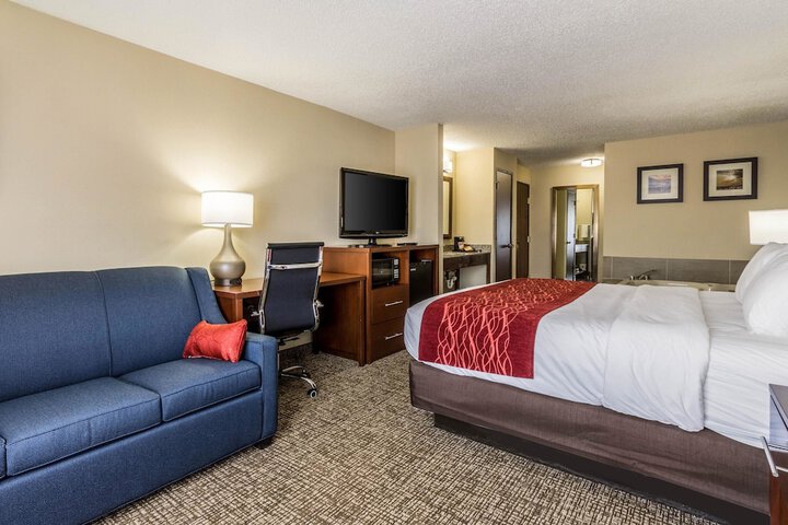 Standard King Bed Accessible (6 of 17)