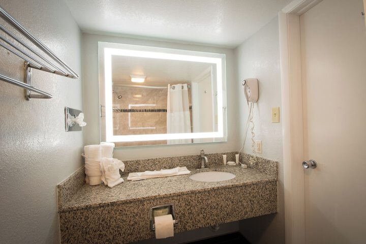 1 King Bed Pet Friendly Accessible (37 of 90)