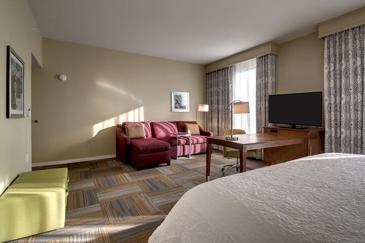 1 King with Sofa Bed Microwave, Refrigerator (5 of 18)