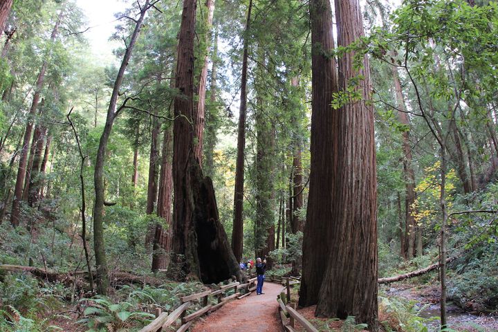 Hiking