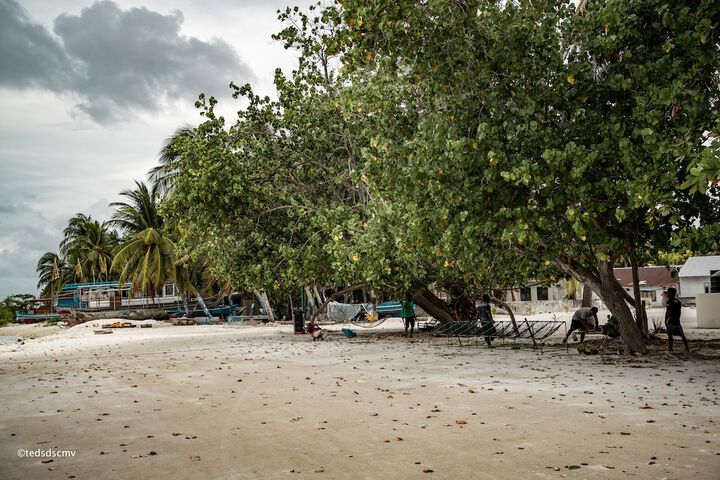 Beach 134 of 211