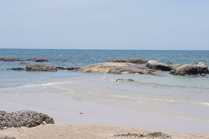 Beach 54 of 61