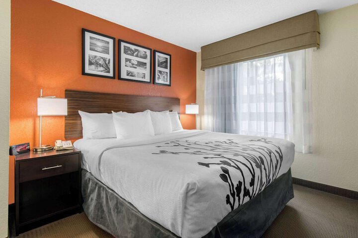 1 King Bed (7 of 8)