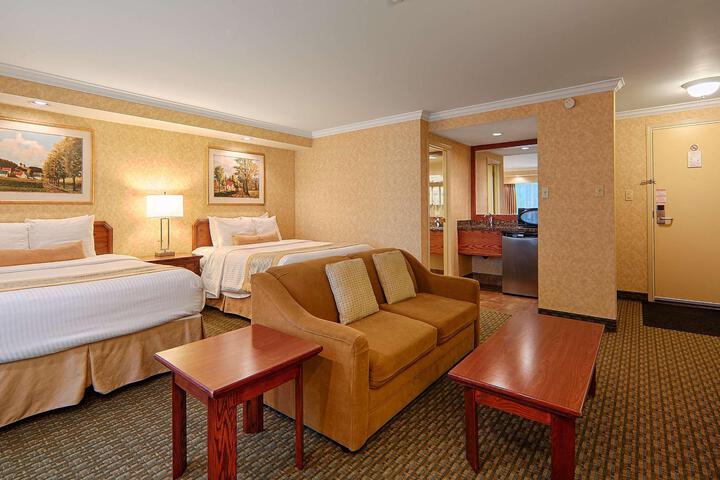 Suite 1 King Bed High Speed Internet, Microwave, Refridgerator Sofa Bed (4 of 23)