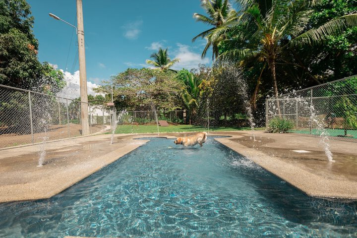 Pet Friendly 46 of 105