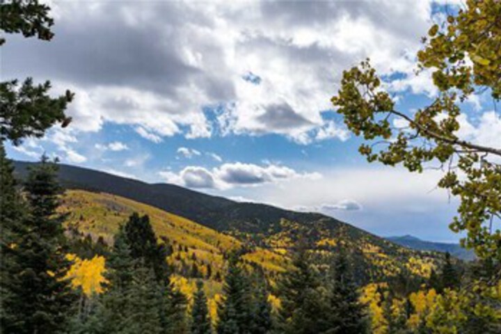 Property Grounds 32 of 36