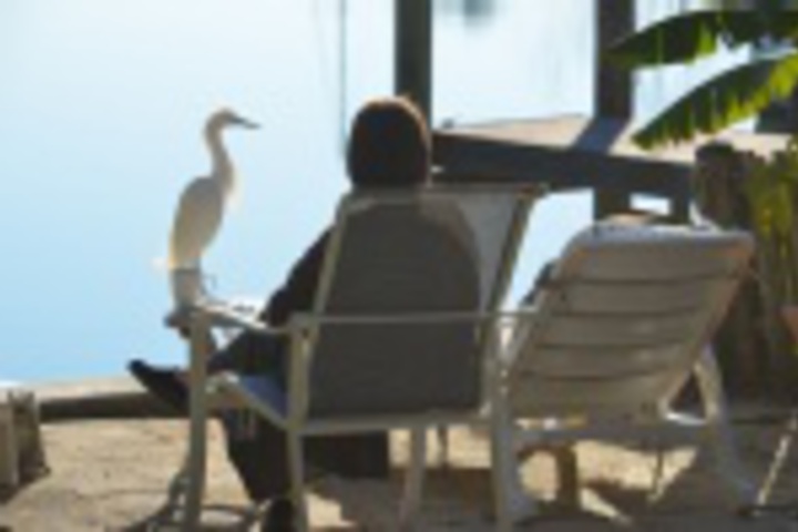 Property Grounds 29 of 576