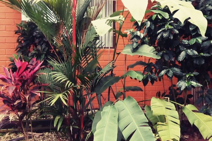 Hotel Arbol Dorado