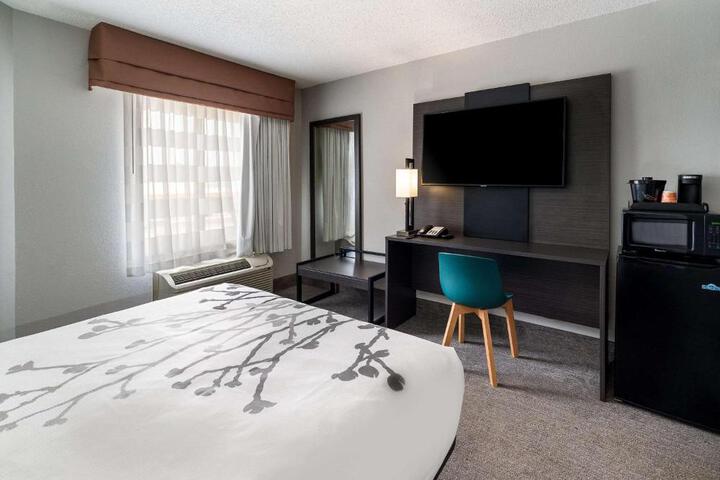 Queen Bed Accessible (5 of 12)