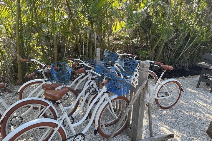 Outdoor Activities 31 of 49