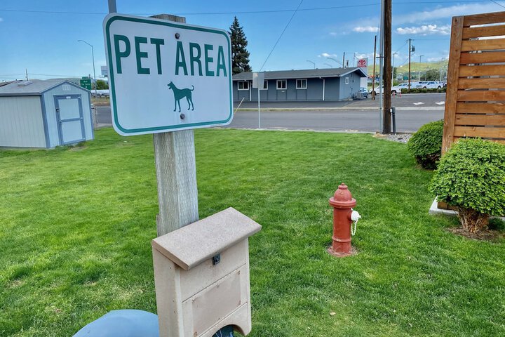 Pet-friendly