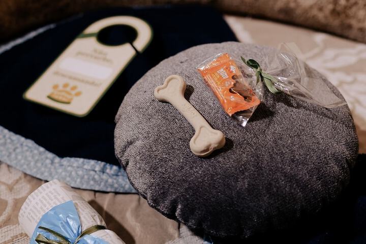 Pet-friendly amenities