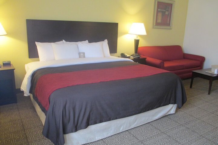 1 King Bed Accessible (10 of 12)