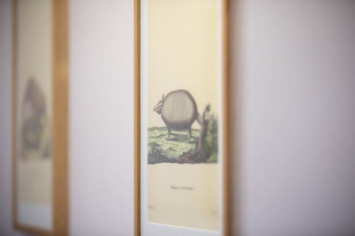 Room 30 of 52