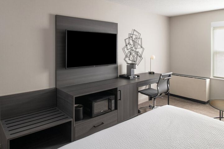 Standard King Bed Sofa (16 of 18)