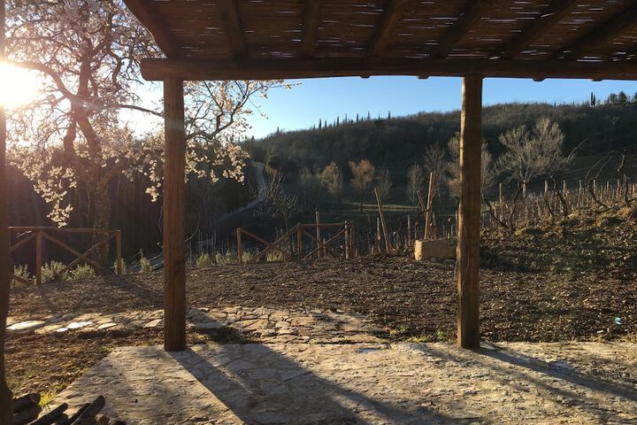Property Grounds 55 of 61