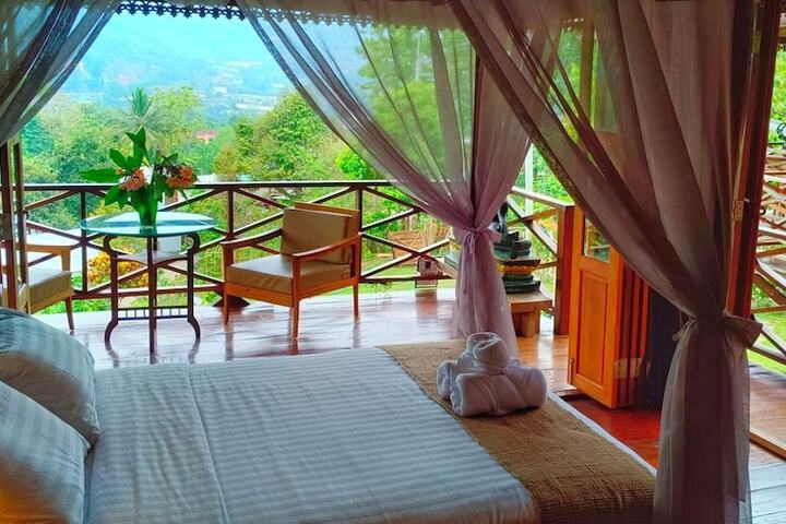 Camelliana Horizon Pongyang - Nature Retreat