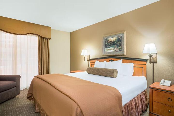 1 King Bed (6 of 10)