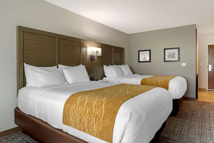 2 Queen Beds (1 of 7)