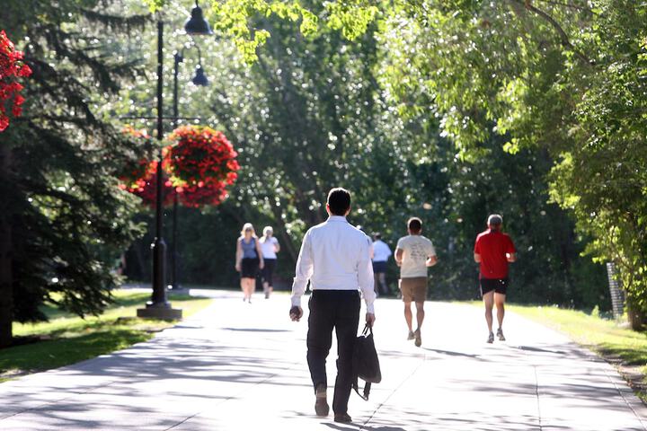 Property Grounds 77 of 84