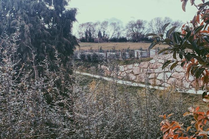 Property Grounds 42 of 62