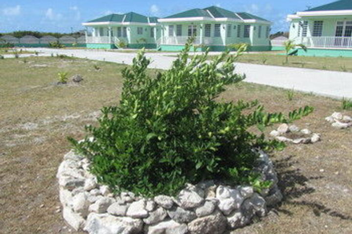Hotel Exterior 5 of 37