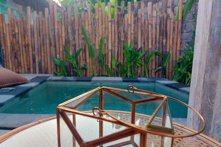 Pool 81 of 123