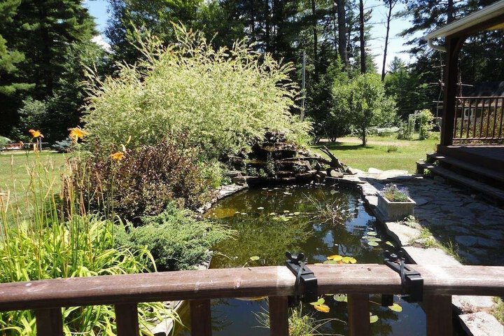 Property Grounds 30 of 57