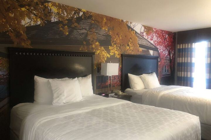 1 Queen Bed Accessible (1 of 7)