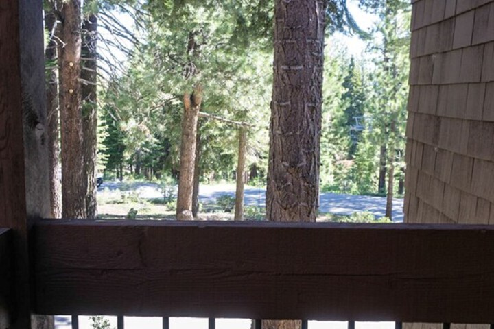 Property Grounds 22 of 29