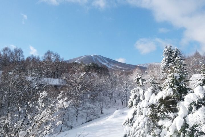View from room