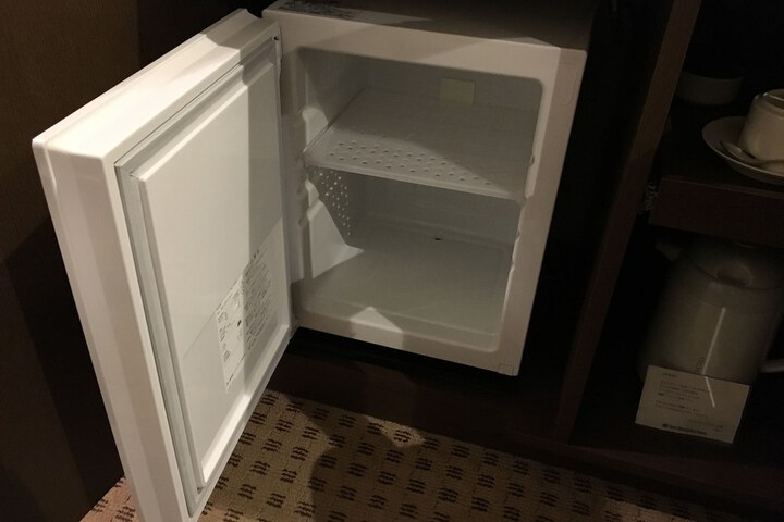 Mini-refrigerator