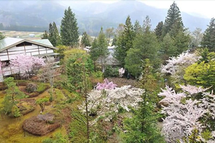 View from room