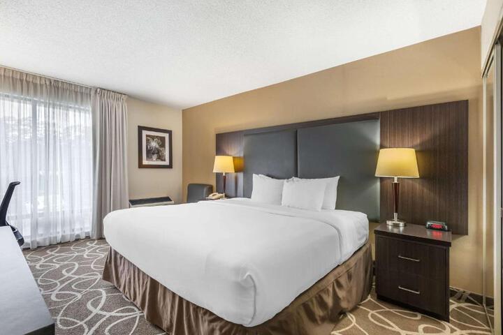 1 King Bed (1 of 12)