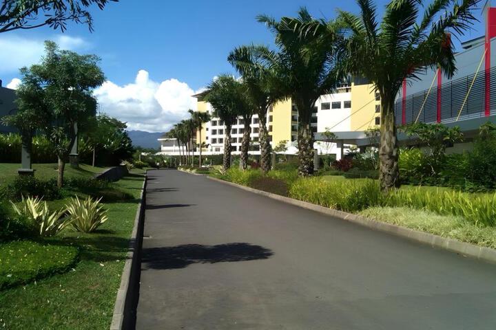 Photo 27