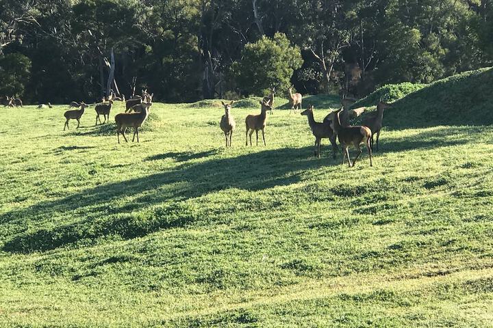 Property Grounds 14 of 23