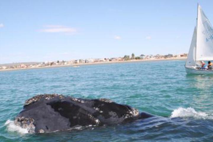 Hotel Muelle Viejo
