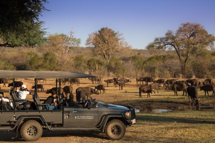 Game drive