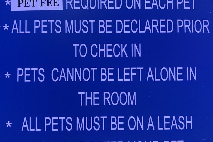 Pet Friendly 44 of 57
