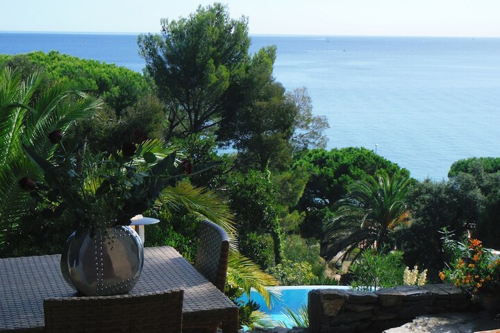 View from room
