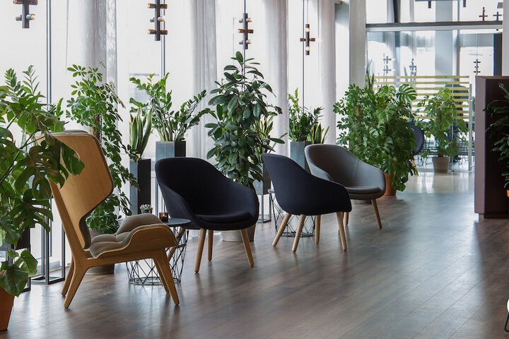 Guest Lobby