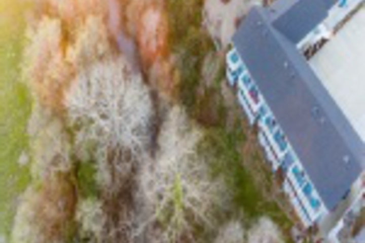 Hotel Exterior 37 of 407