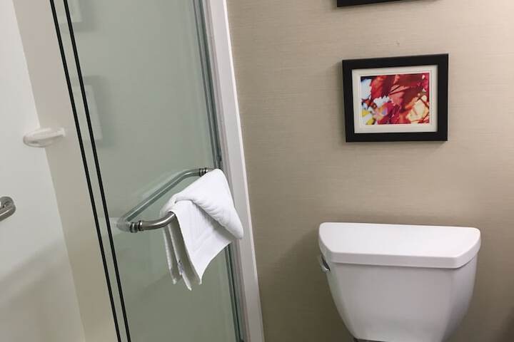 Bathroom shower