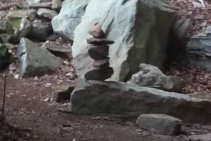 Property Grounds 18 of 27