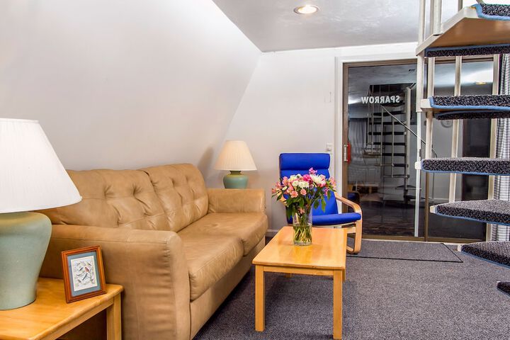 Room 15 of 25