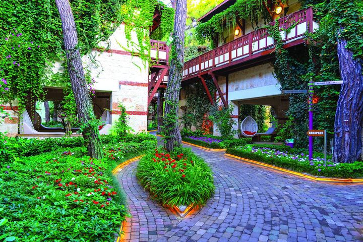 Spa and Wellness