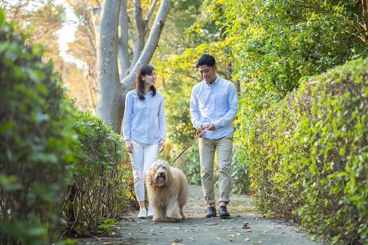 Pet Friendly 44 of 72