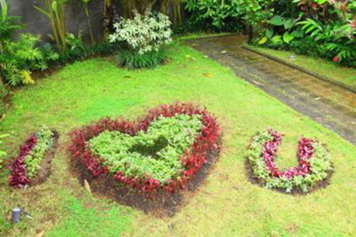 Spa and Wellness Pictures