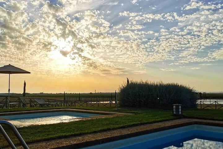 Spa and Wellness Pictures