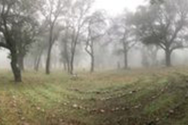 Property Grounds 68 of 75